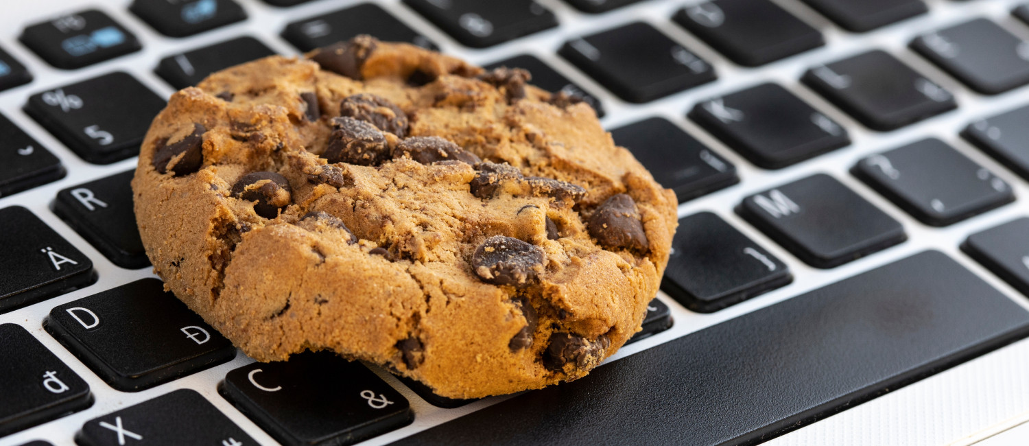 WEBSITE COOKIE POLICY FOR OLIVE TREE INN & SUITES