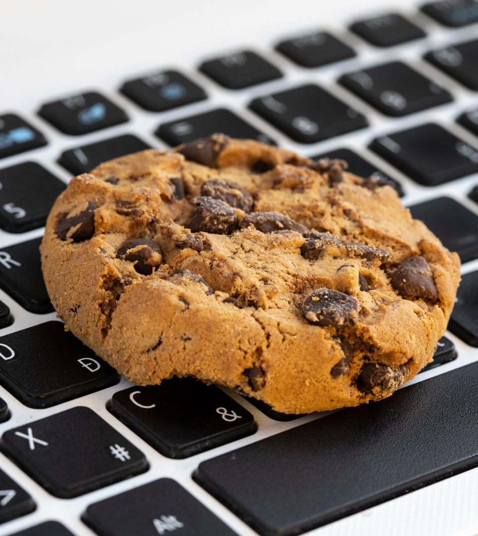 WEBSITE COOKIE POLICY FOR OLIVE TREE INN & SUITES